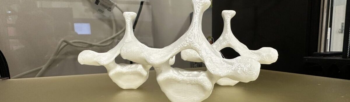 SpinePrint Laboratory Project