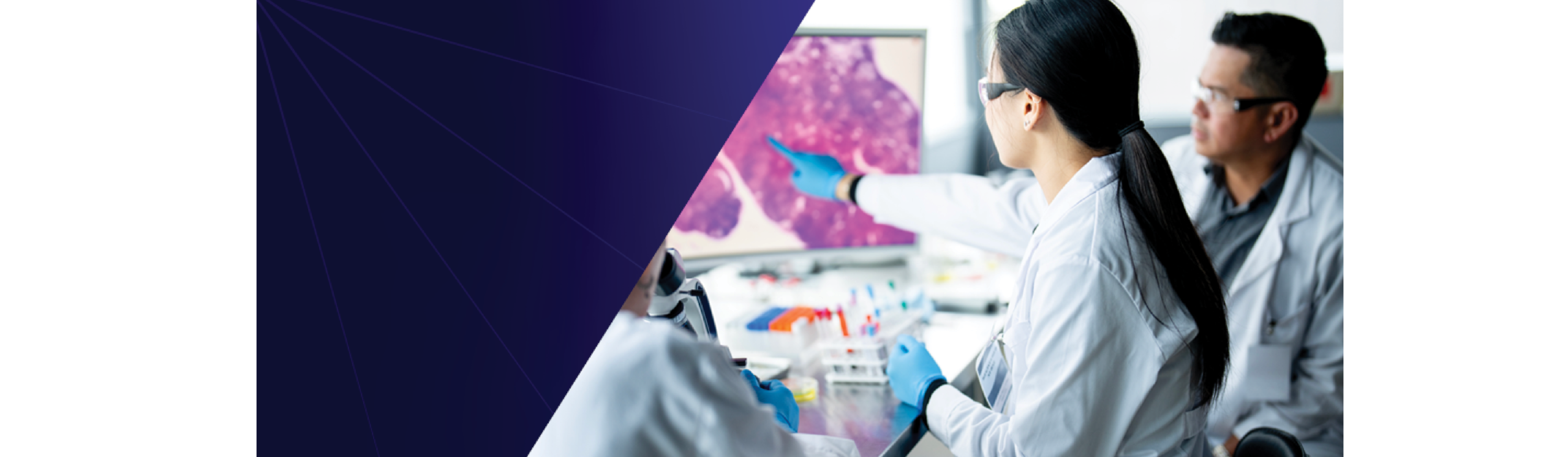 AEA Ignite Grant Awarded